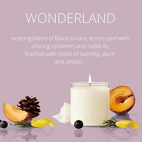 Citronella Candles,Scented Candles Gift Set of 4 x 4.4 Oz, Natural Soy Wax  Aromatherapy Candle for Outdoor and Indoor 